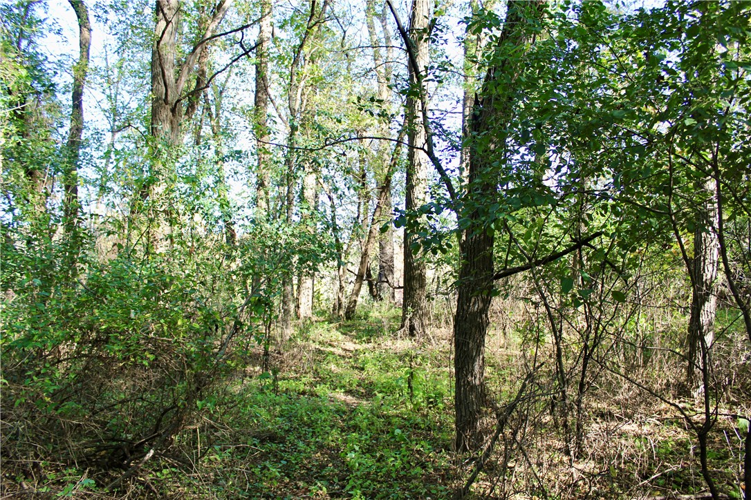 0 South Lowes Creek Road Eau Claire, WI 54701 - Photo 21 of 59