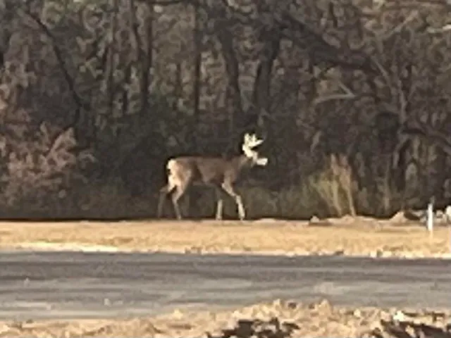 $375,000 | 1220 Prairie, Janesville, WI 53545