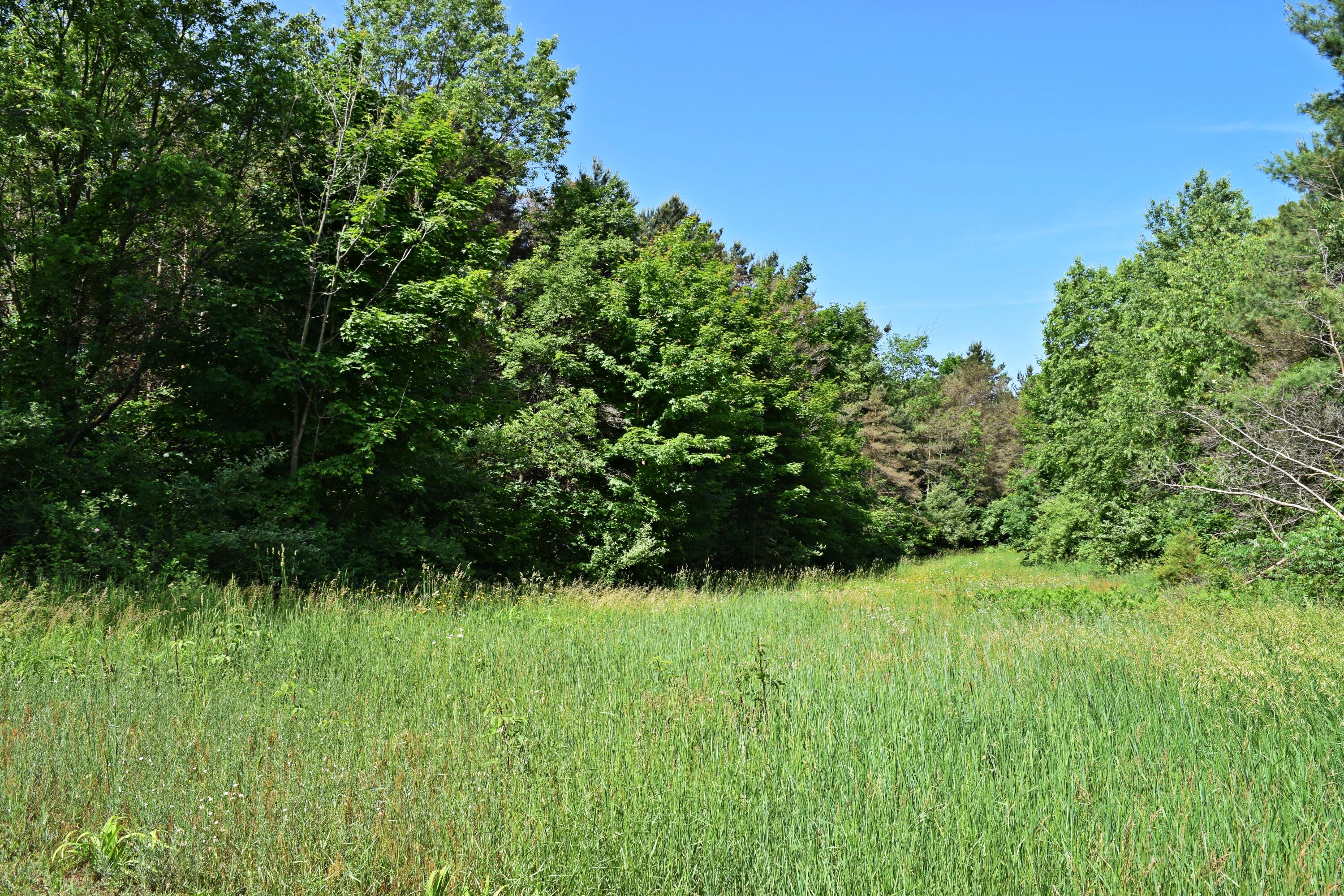 1707 East Sippy Road Custer, MI 49405 - Photo 32 of 55 DSC_0876