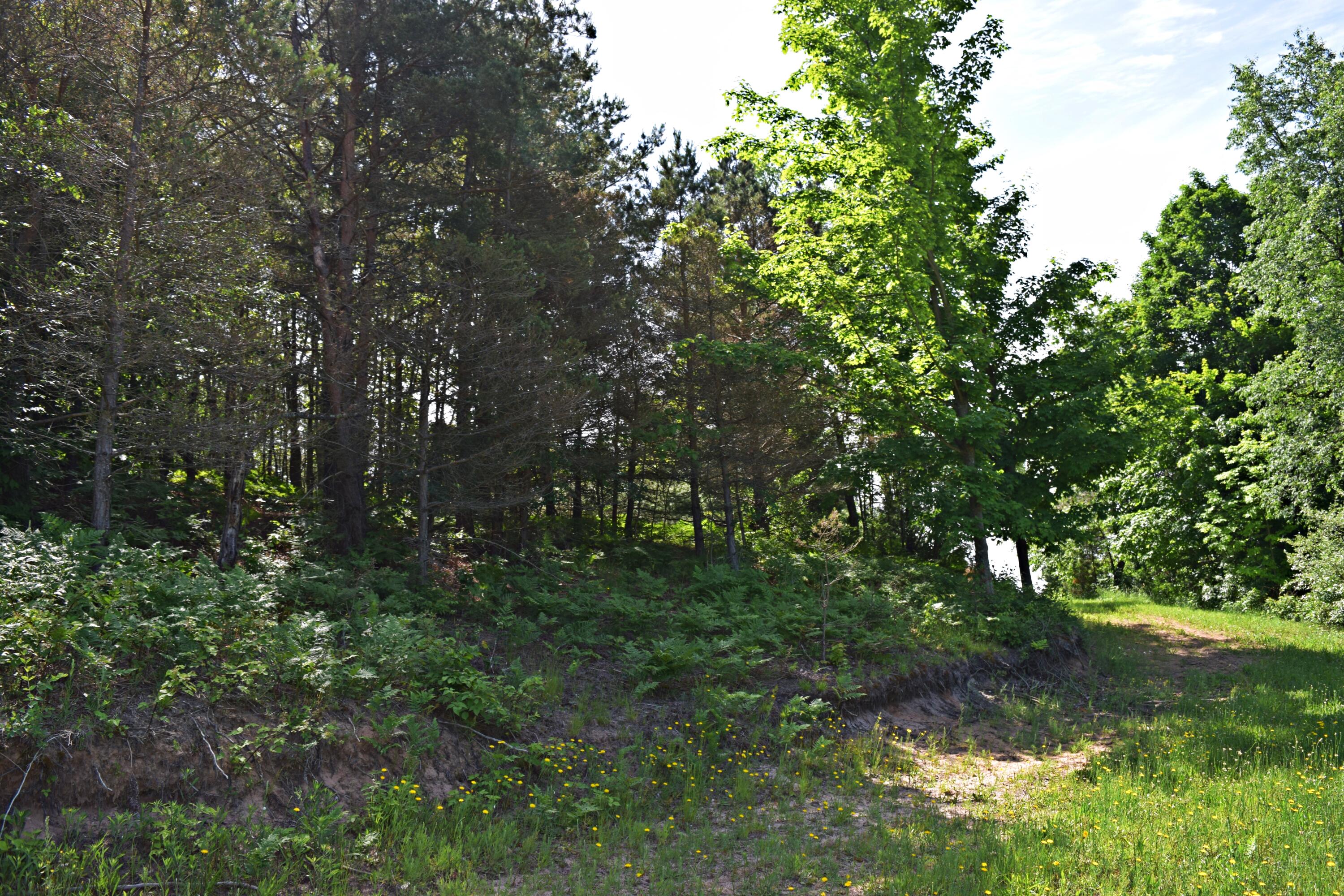 1707 East Sippy Road Custer, MI 49405 - Photo 50 of 55 DSC_0915