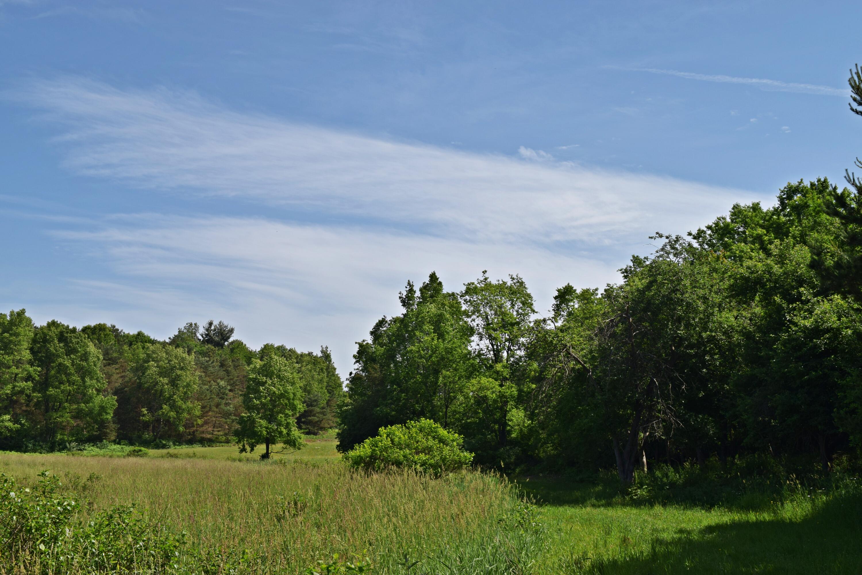 1707 East Sippy Road Custer, MI 49405 - Photo 53 of 55 DSC_0925
