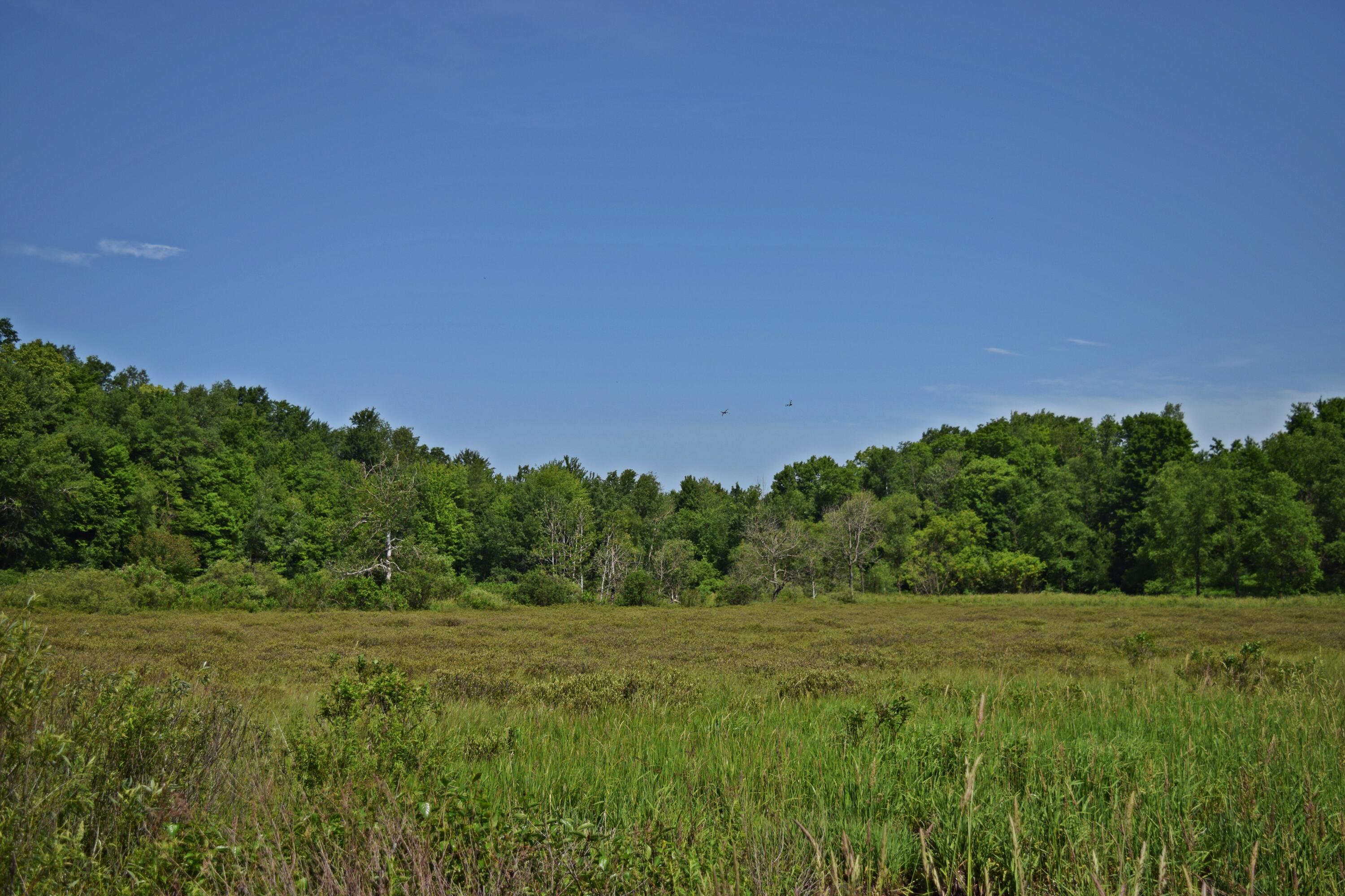 1707 East Sippy Road Custer, MI 49405 - Photo 54 of 55 DSC_0927
