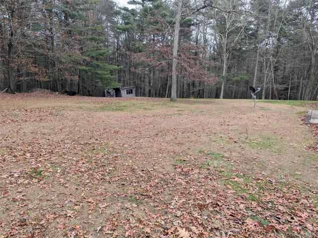 a outdoor space with lots of trees