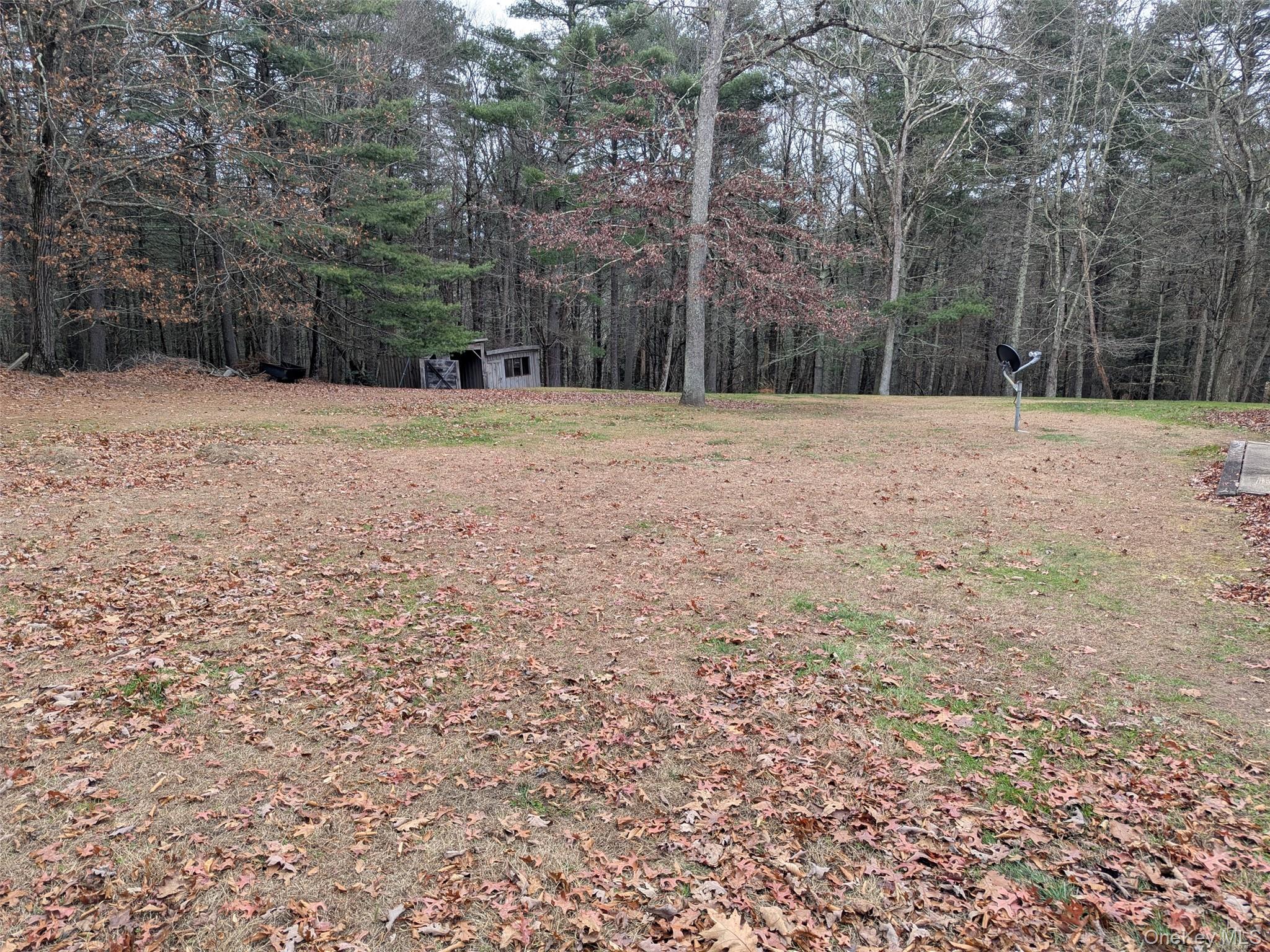152 Old Forestburg Road Sparrowbush, NY 12780 - Photo 23 of 32 a outdoor space with lots of trees