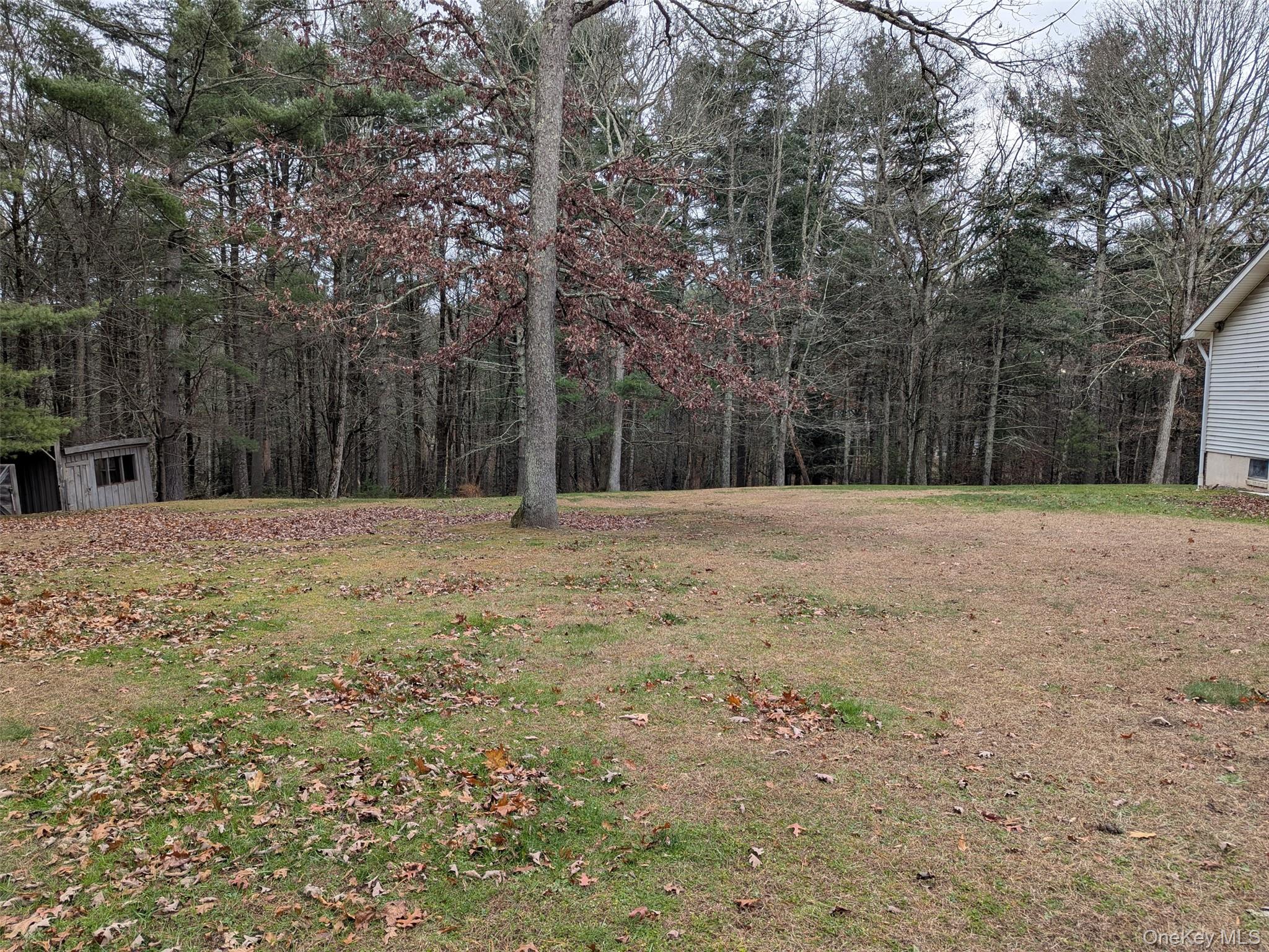 152 Old Forestburg Road Sparrowbush, NY 12780 - Photo 26 of 32 a house with trees in front of it