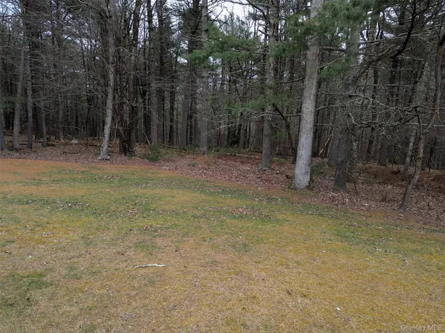 a view of a yard with trees