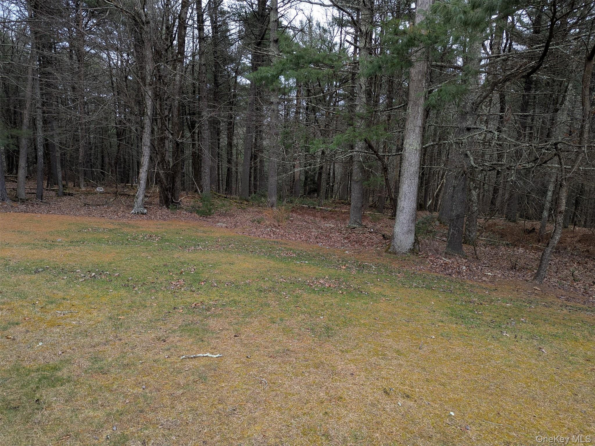 152 Old Forestburg Road Sparrowbush, NY 12780 - Photo 27 of 32 a view of a yard with trees