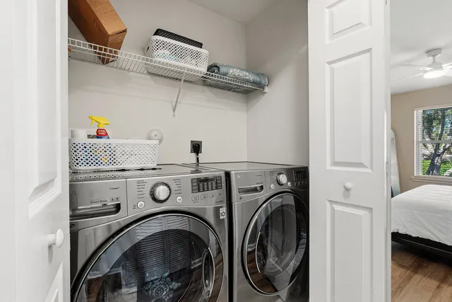 a view of a backyard with large trees