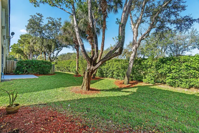 a view of a house with a garden
