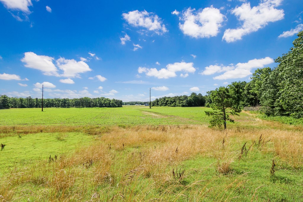 Lot 6 Fleming Road, Unit 6 Horntown, VA 23395 - Photo 26 of 26