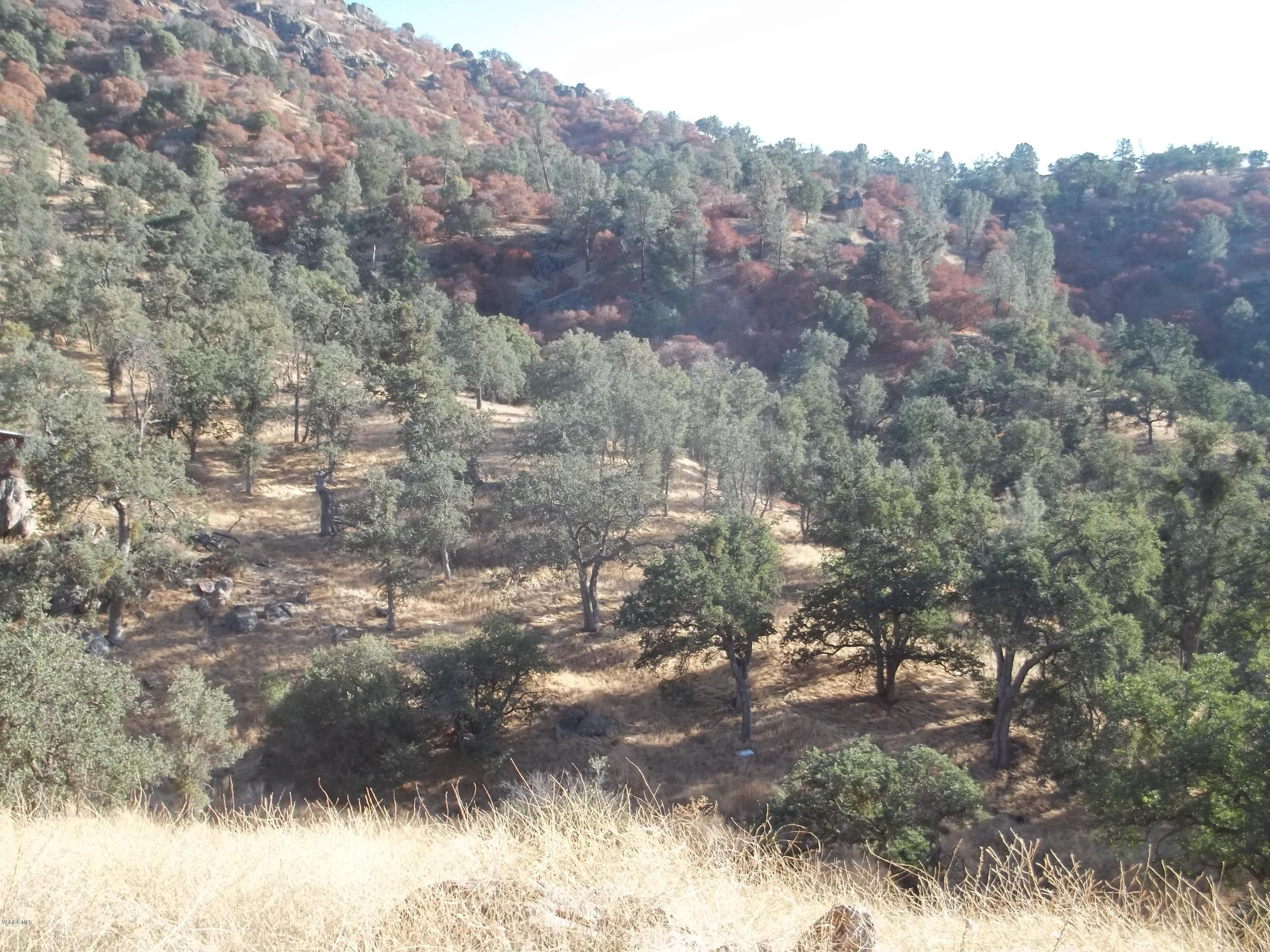 29990 Jack Springs Road Tehachapi, CA 93561 - Photo 1 of 13 100_0159