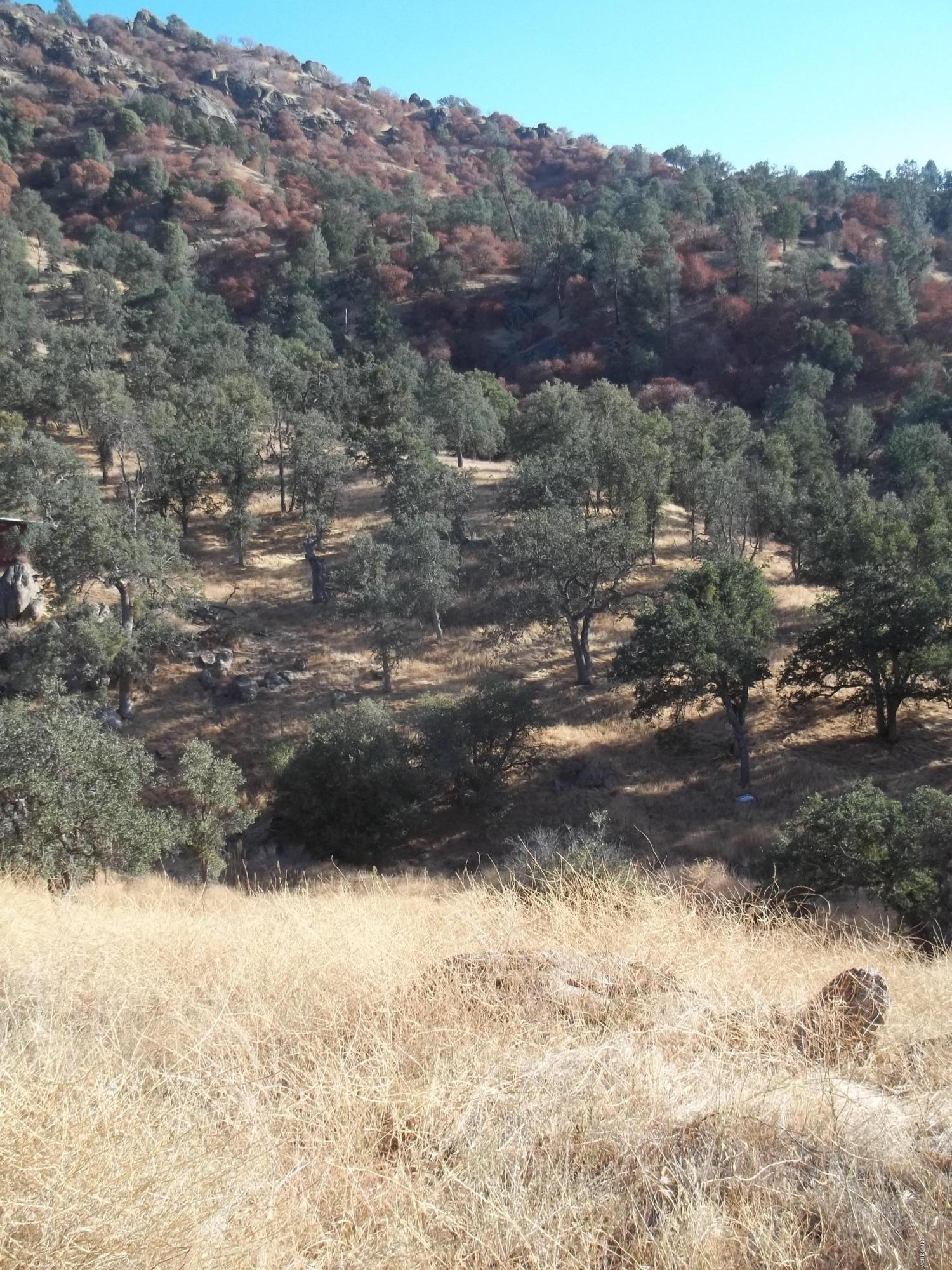 29990 Jack Springs Road Tehachapi, CA 93561 - Photo 2 of 13 100_0160