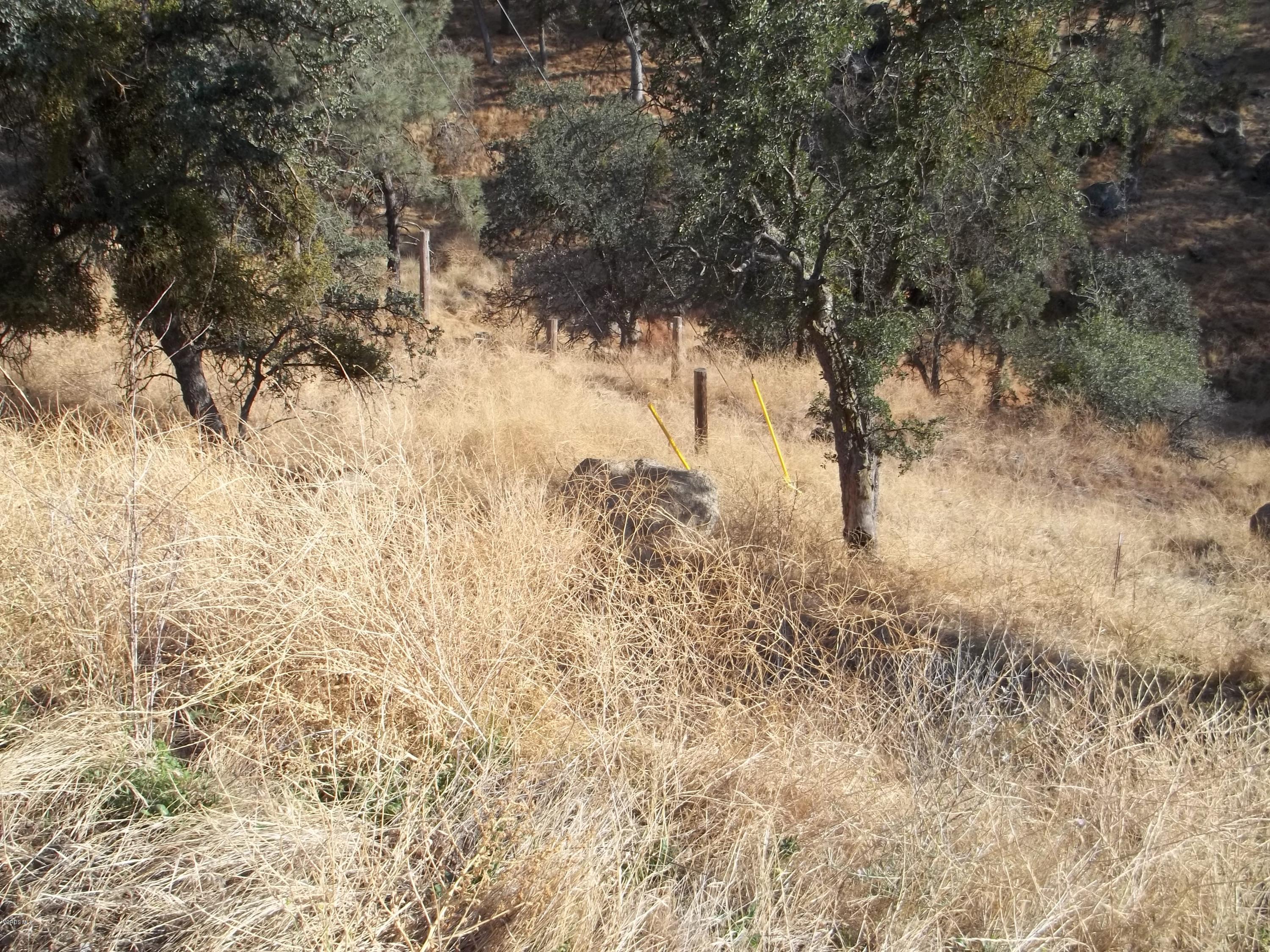 29990 Jack Springs Road Tehachapi, CA 93561 - Photo 11 of 13 100_0176
