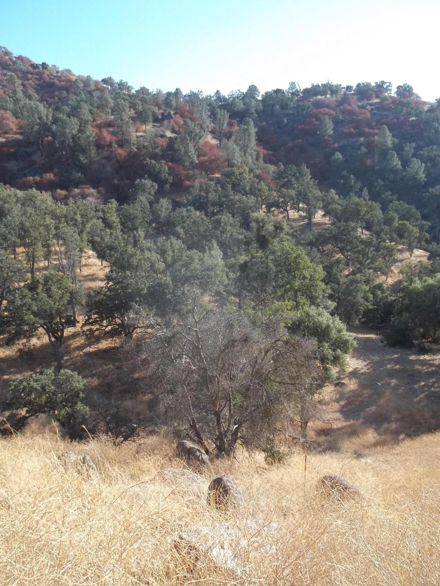 29990 Jack Springs Road Tehachapi, CA 93561 - Photo 3 of 13 100_0161