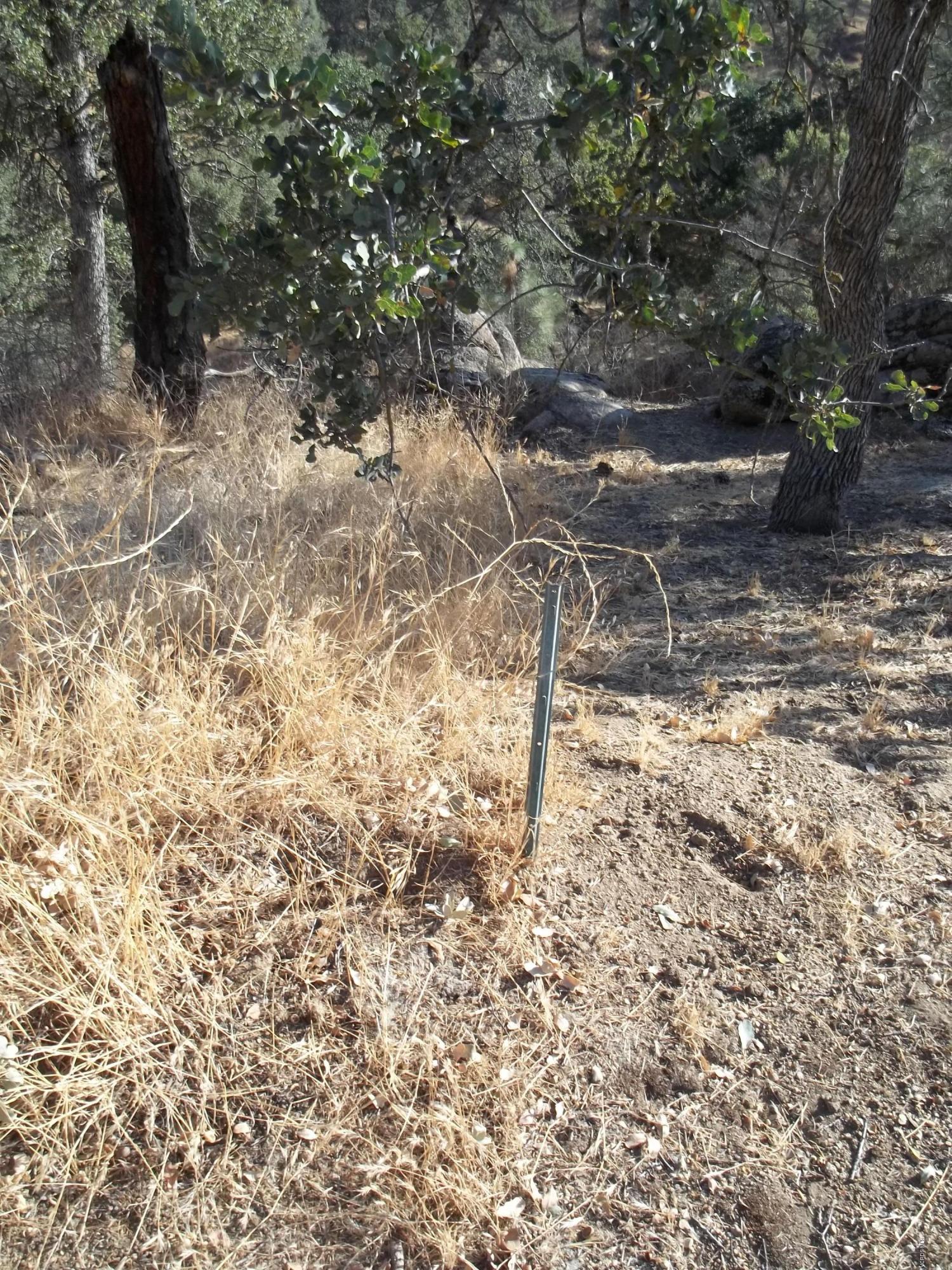 29990 Jack Springs Road Tehachapi, CA 93561 - Photo 5 of 13 100_0164