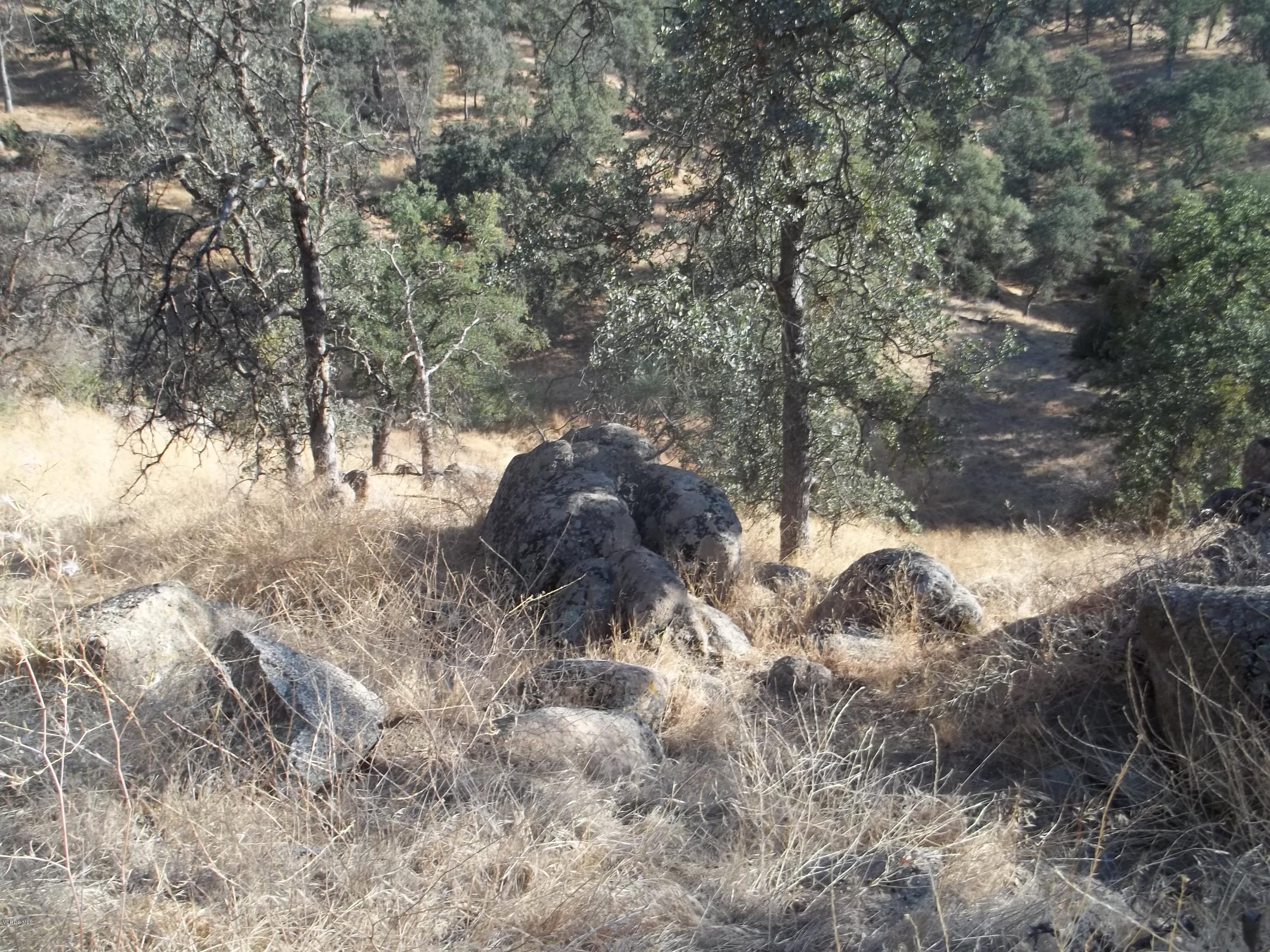 29990 Jack Springs Road Tehachapi, CA 93561 - Photo 7 of 13 100_0166