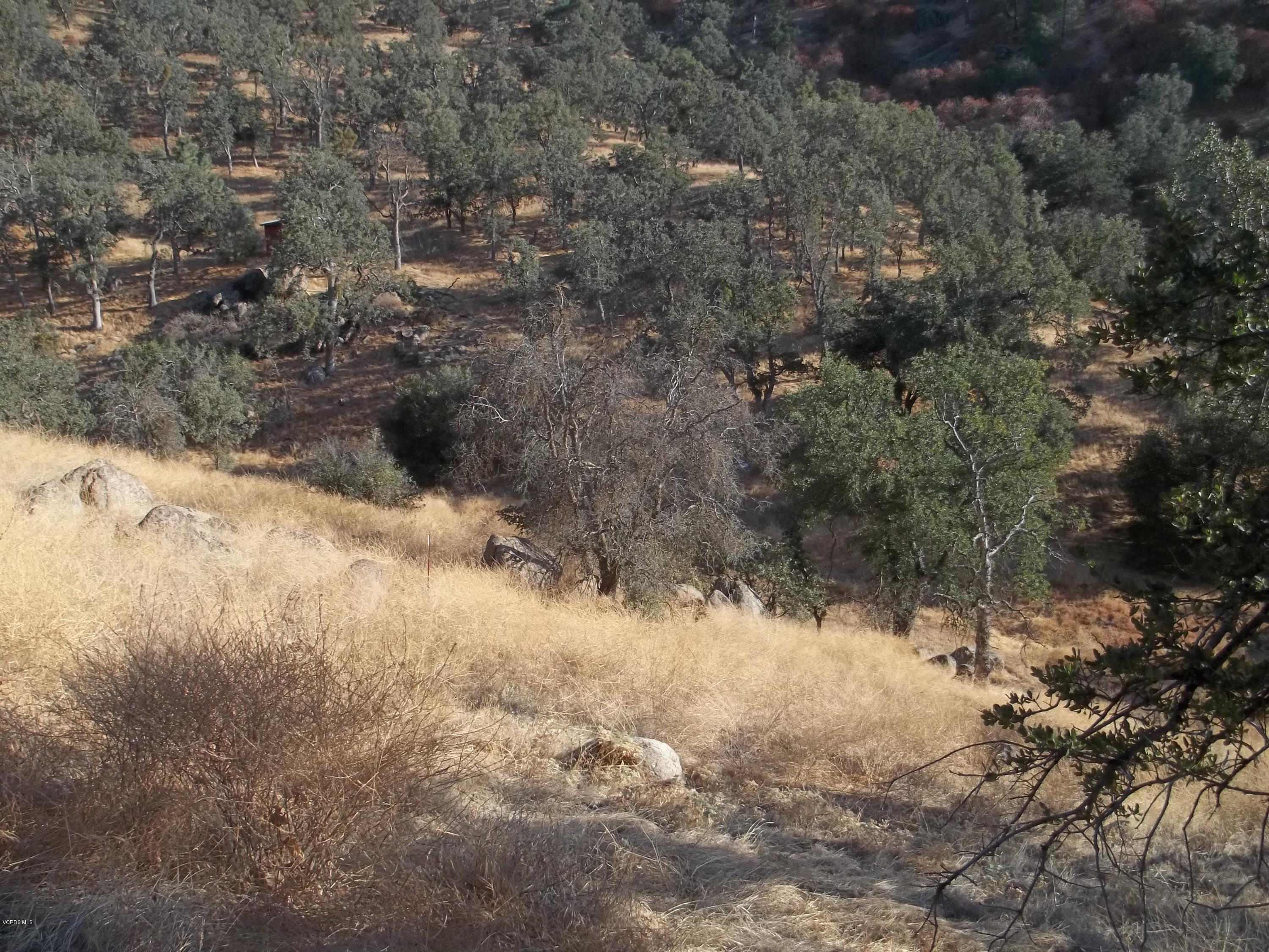 29990 Jack Springs Road Tehachapi, CA 93561 - Photo 8 of 13 100_0167