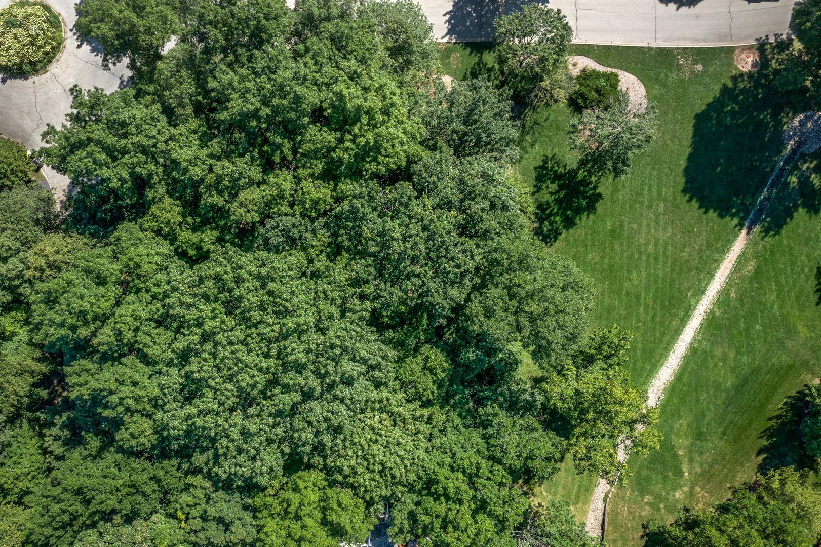 an aerial view of a garden with plants