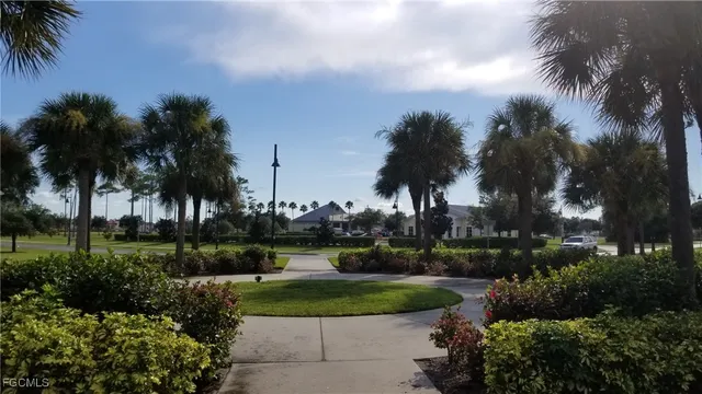 a view of a park with palm trees