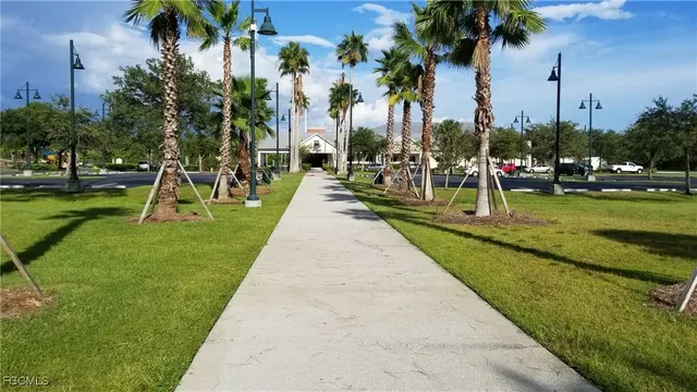 a park with palm trees