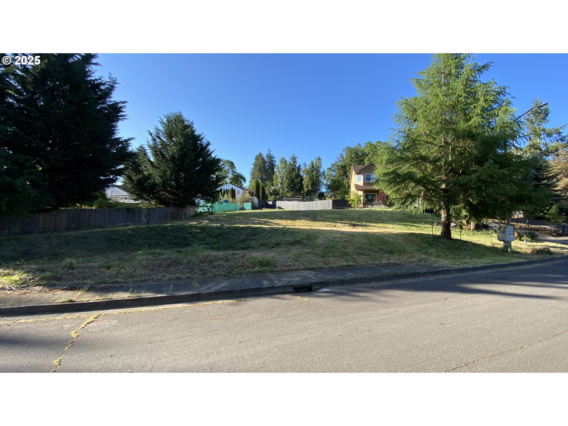 a black and white photo of a park