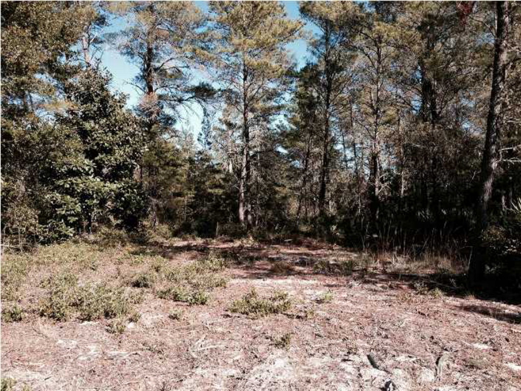 147 Indiana Street Carrabelle, FL 32322 - Photo 1 of 1