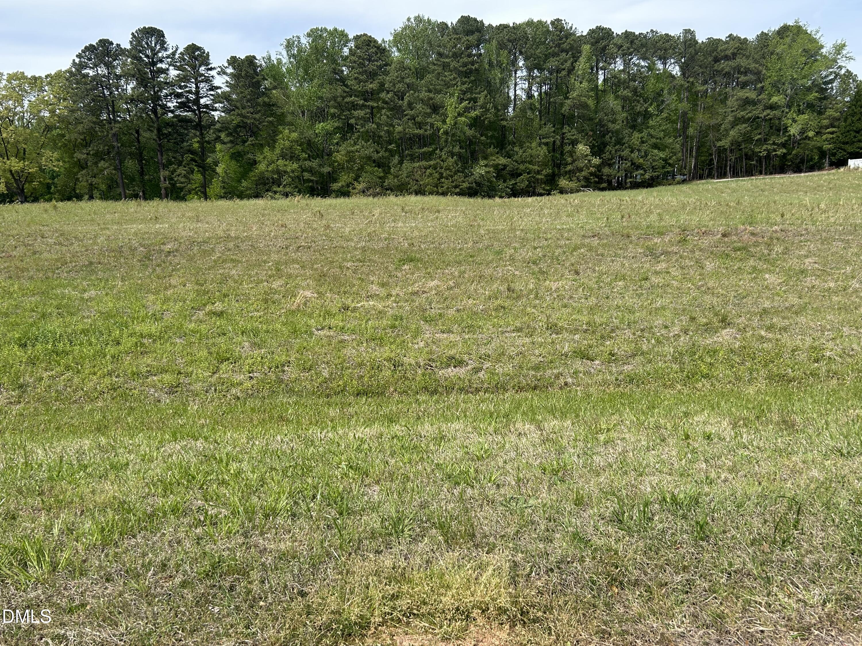 a view of outdoor space and yard