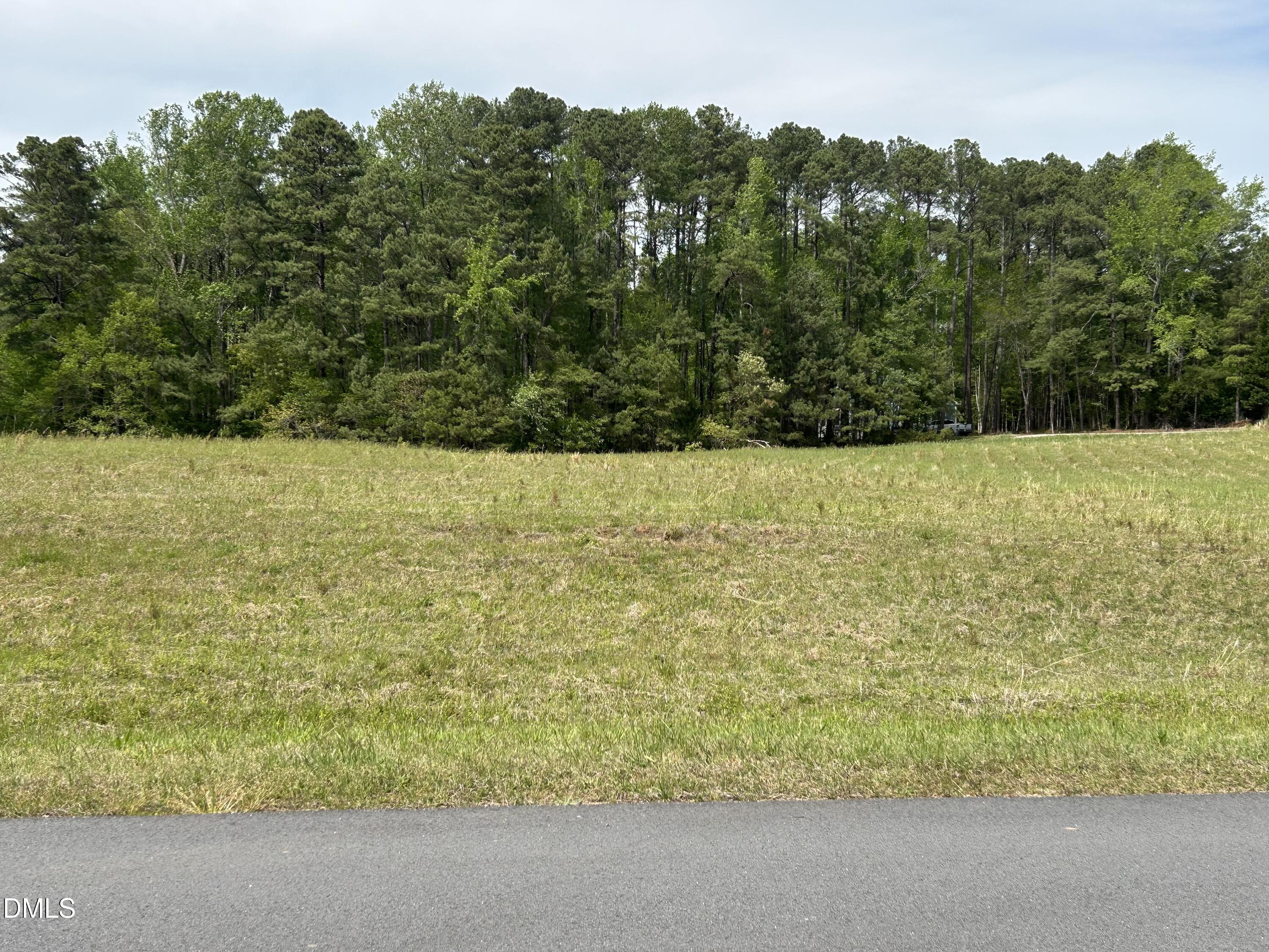 4612 Durham Road Wake Forest, NC 27587 - Photo 2 of 4 a view of a yard with an outdoor space
