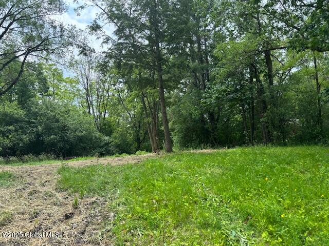 1741 Scotch Ridge Road Princetown, NY 12306 - Photo 2 of 3 1741 Scotch Ridge, 2nd