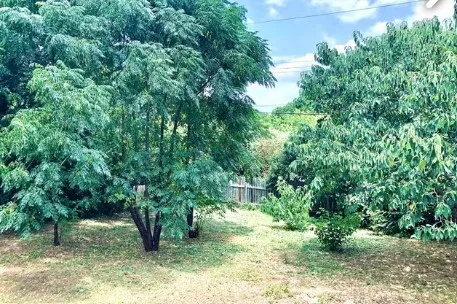 a backyard of a house with lots of green space