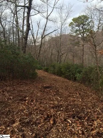 $100,000 | Panther Mountain Road, Travelers Rest, SC 29690