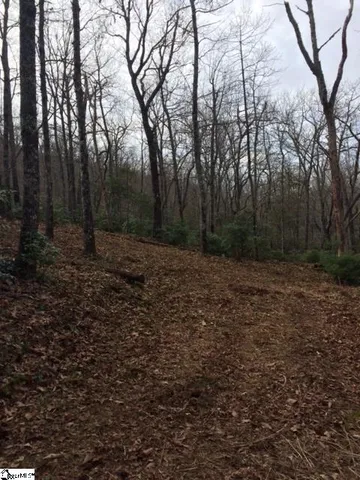$100,000 | Panther Mountain Road, Travelers Rest, SC 29690