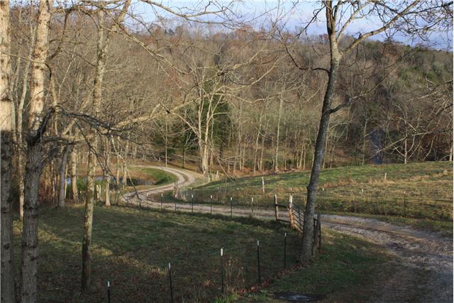 3350 Creecy Hollow Road Pulaski, TN 38478 - Photo 16 of 18 long gravel drive to home