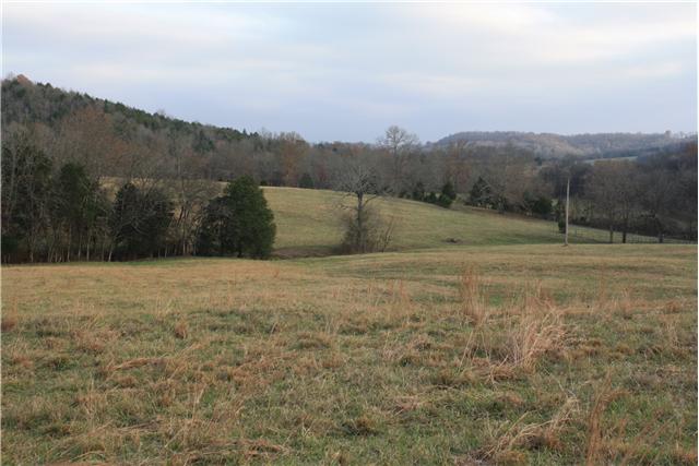 3350 Creecy Hollow Road Pulaski, TN 38478 - Photo 18 of 18 Awesome views with lots of wildlife