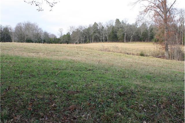 3350 Creecy Hollow Road Pulaski, TN 38478 - Photo 4 of 18 good pasture for cattle or horses, fenced and cross fenced