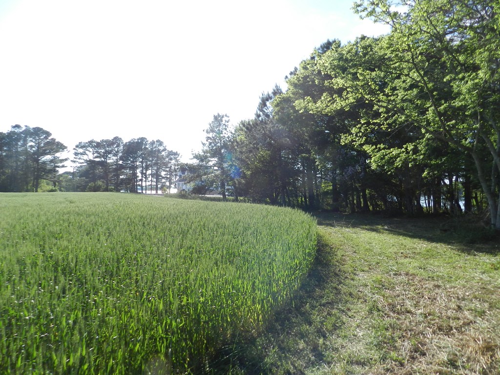 Lot1 Miles Wharf Road, Unit 1 Exmore, VA 23350 - Photo 30 of 33