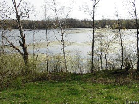 1428 McKail Road Leonard, MI 48367 - Photo 1 of 6 Lake and Dock