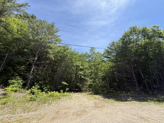 Lot 5-10 Charlotte Road Charlotte, ME 04666 - Photo 18 of 24 IMG_1704 (1)