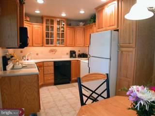 25 MacIntosh Road Levittown, PA 19056 - Photo 3 of 6 Gallery Image 3