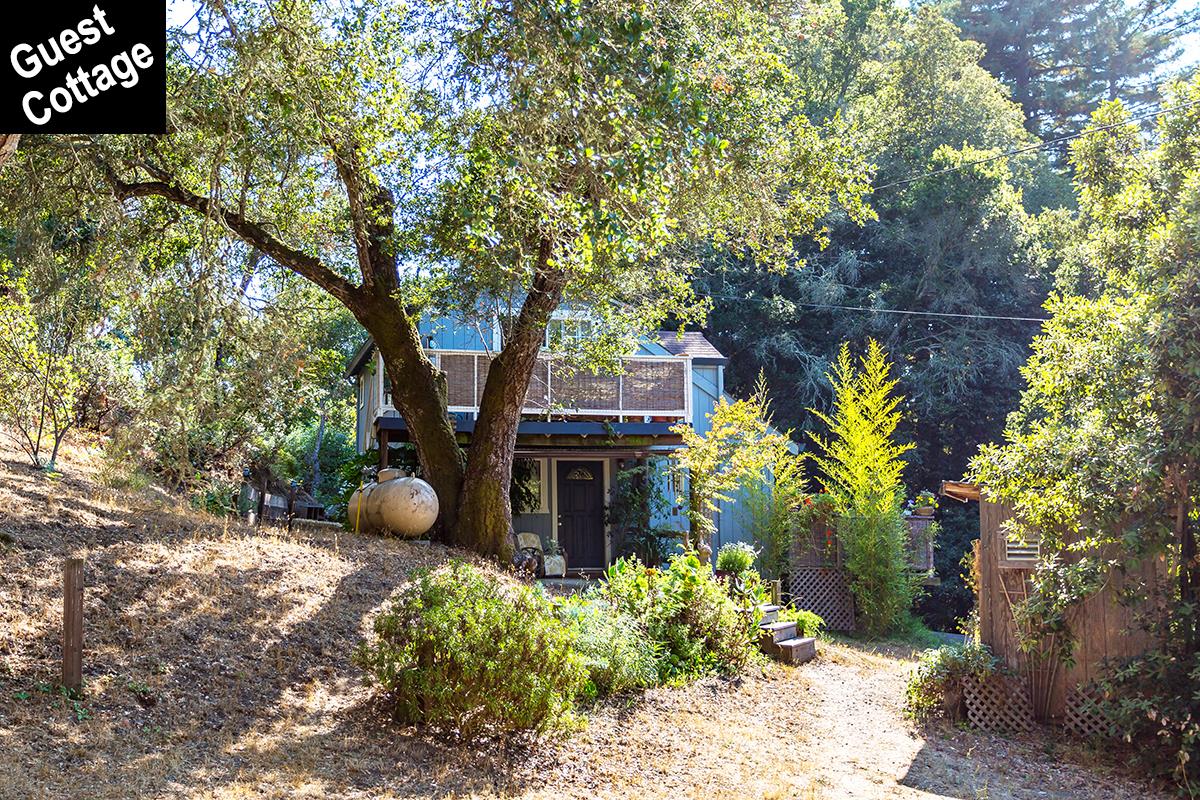 1644 Hall Ranch Road Santa Cruz, CA 95065 - Photo 16 of 25 a view of a outdoor space with a tree