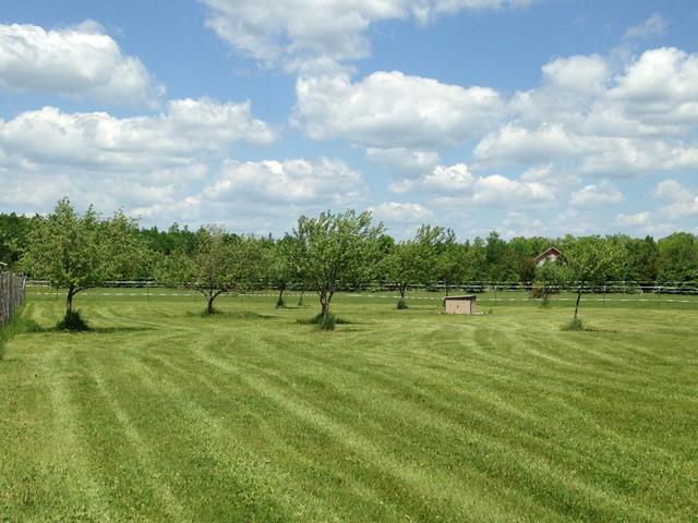 2538 Emils Way Rhinelander, WI 54501 - Photo 17 of 20 Gallery Image 17