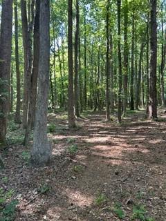46 Davis Road Hiram, GA 30141 - Photo 6 of 17 a view of outdoor space with trees