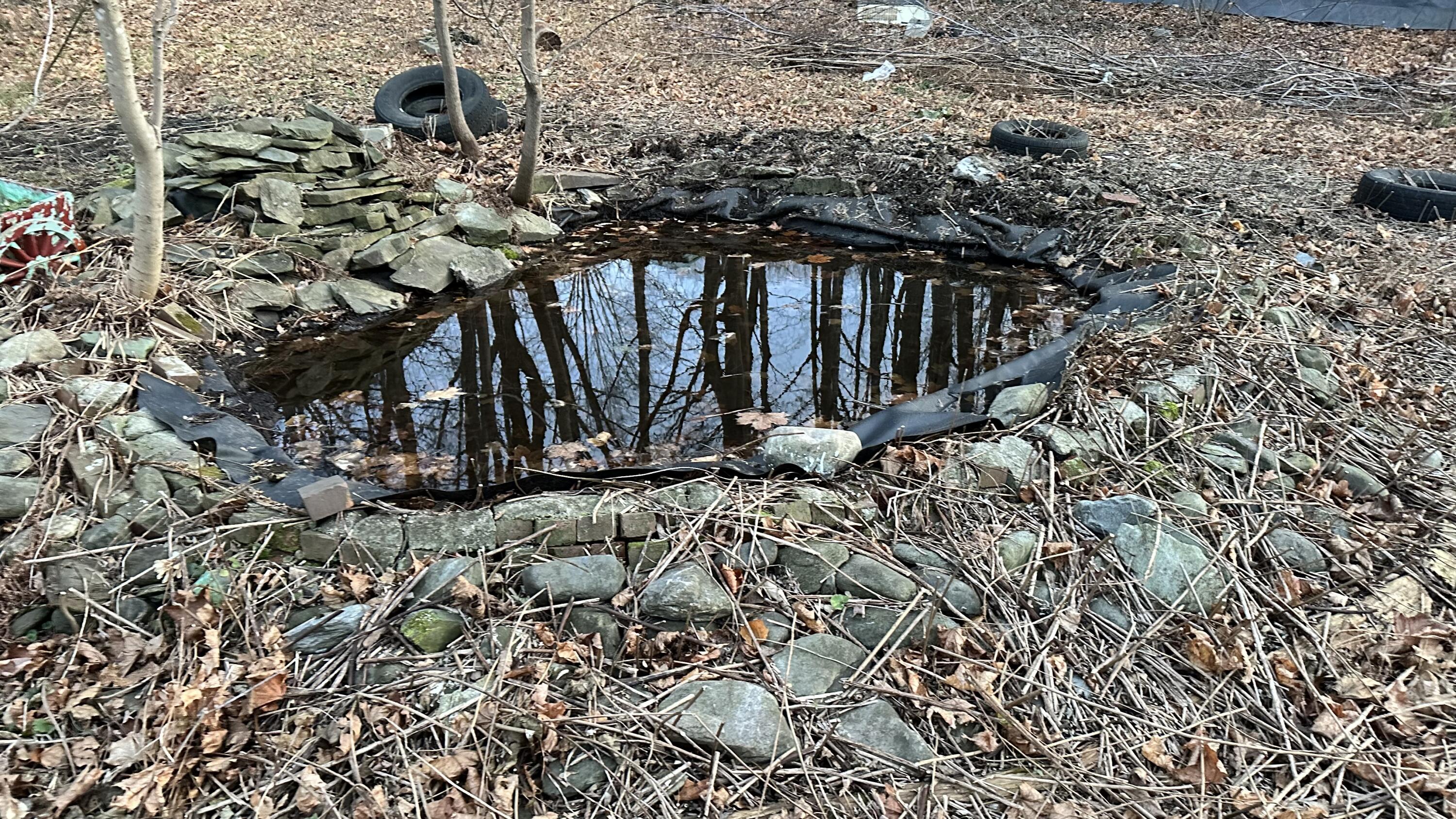 43 Maple Street Dexter, ME 04930 - Photo 59 of 63 spring
