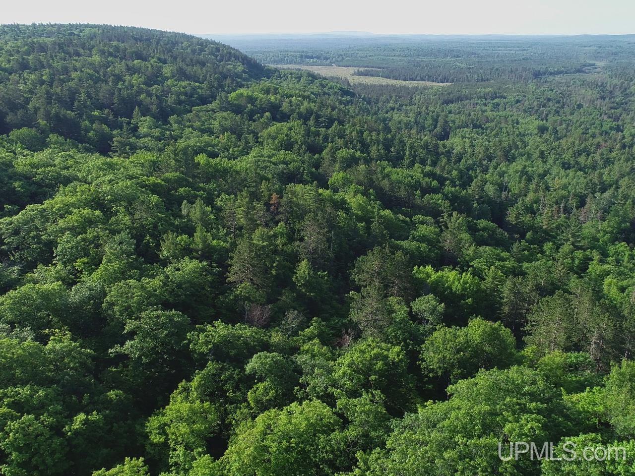 46 County Aat Road Ishpeming, MI 49849 - Photo 1 of 44