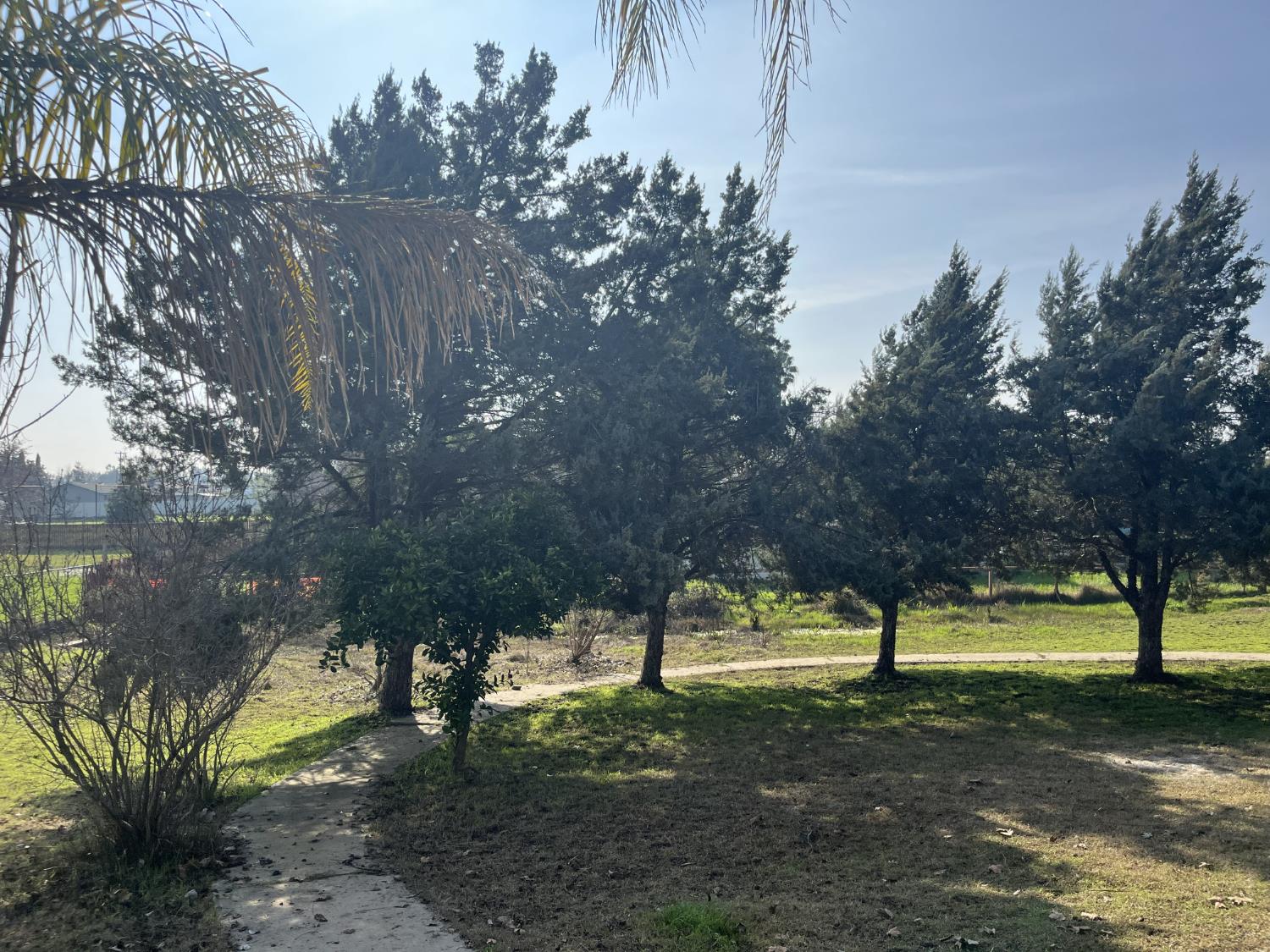 330 Elverta Road Elverta, CA 95626 - Photo 40 of 43