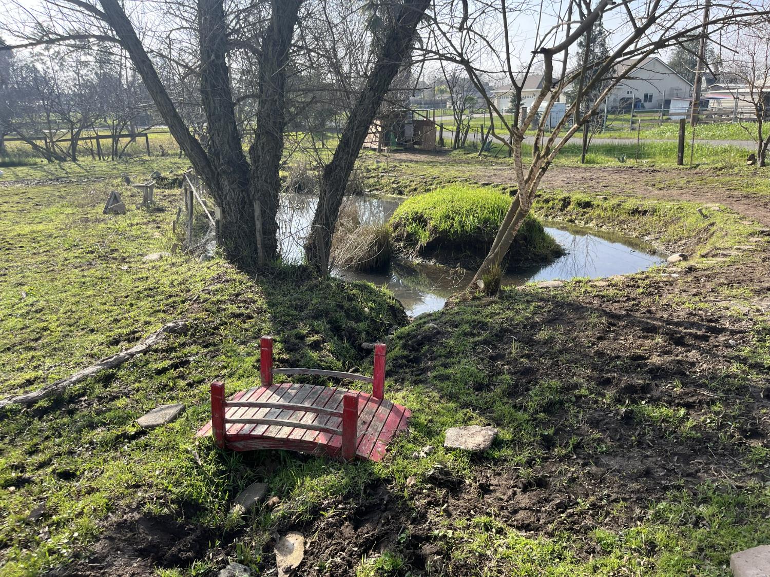 330 Elverta Road Elverta, CA 95626 - Photo 5 of 43