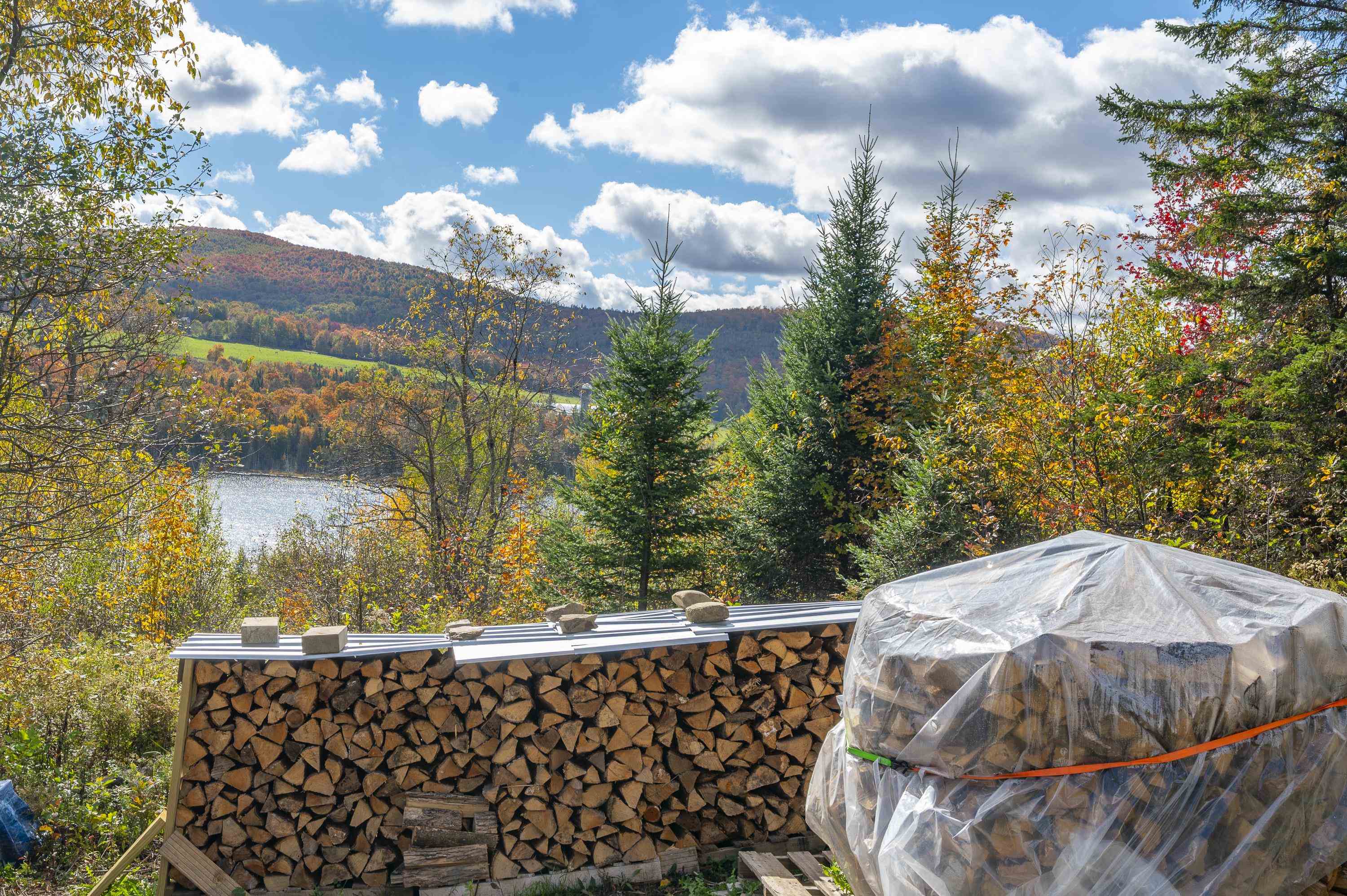 534 Highway 2 Cabot, VT 05647 - Photo 35 of 41