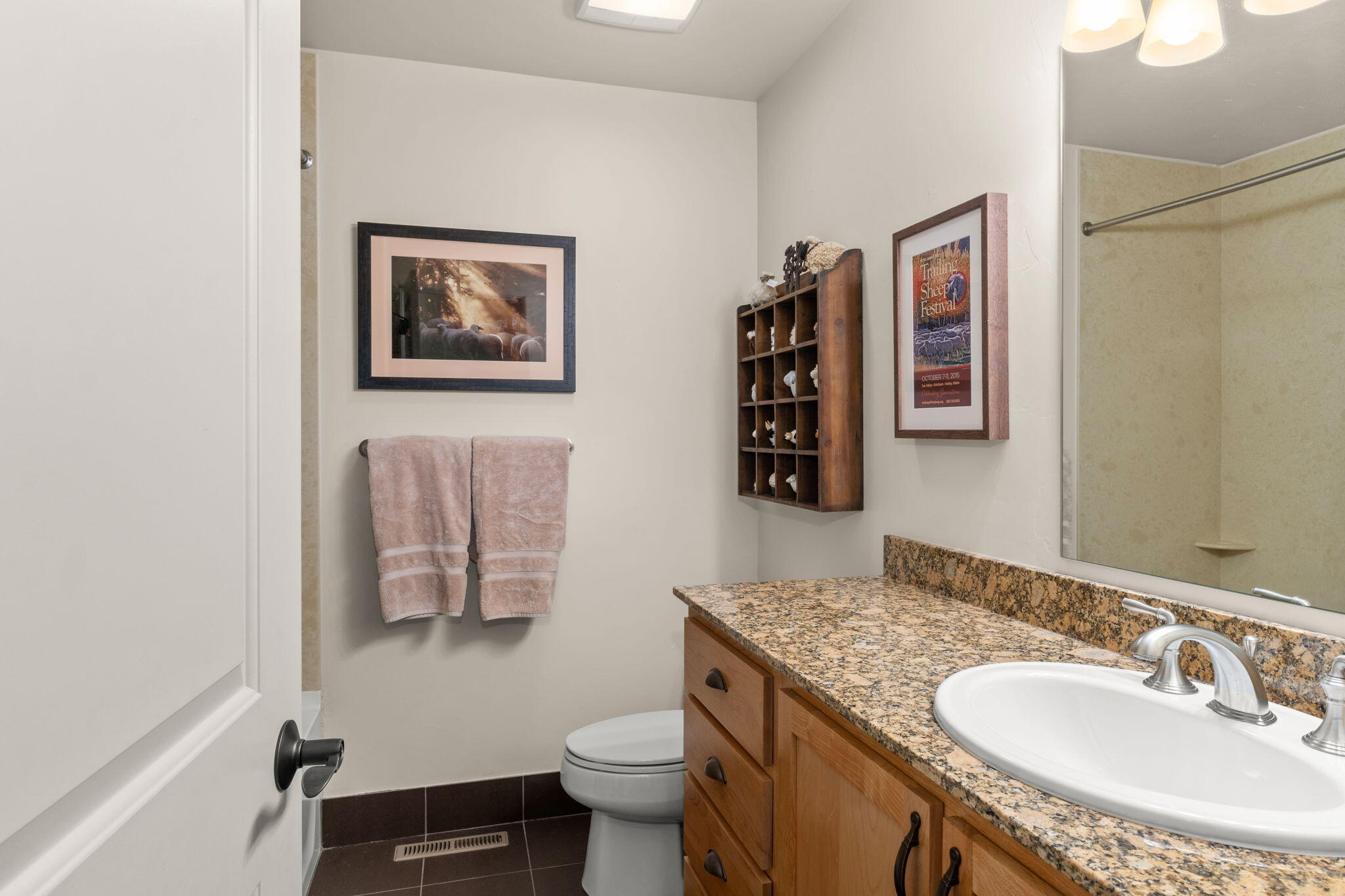 917 Heartland Way Hailey, ID 83333 - Photo 15 of 28 Hallway Bathroom (2)