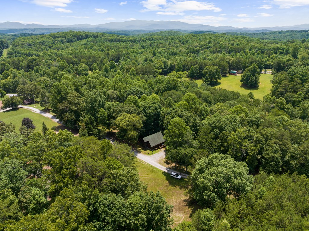 135 The Builder's Hill Morganton, GA 30560 - Photo 5 of 31