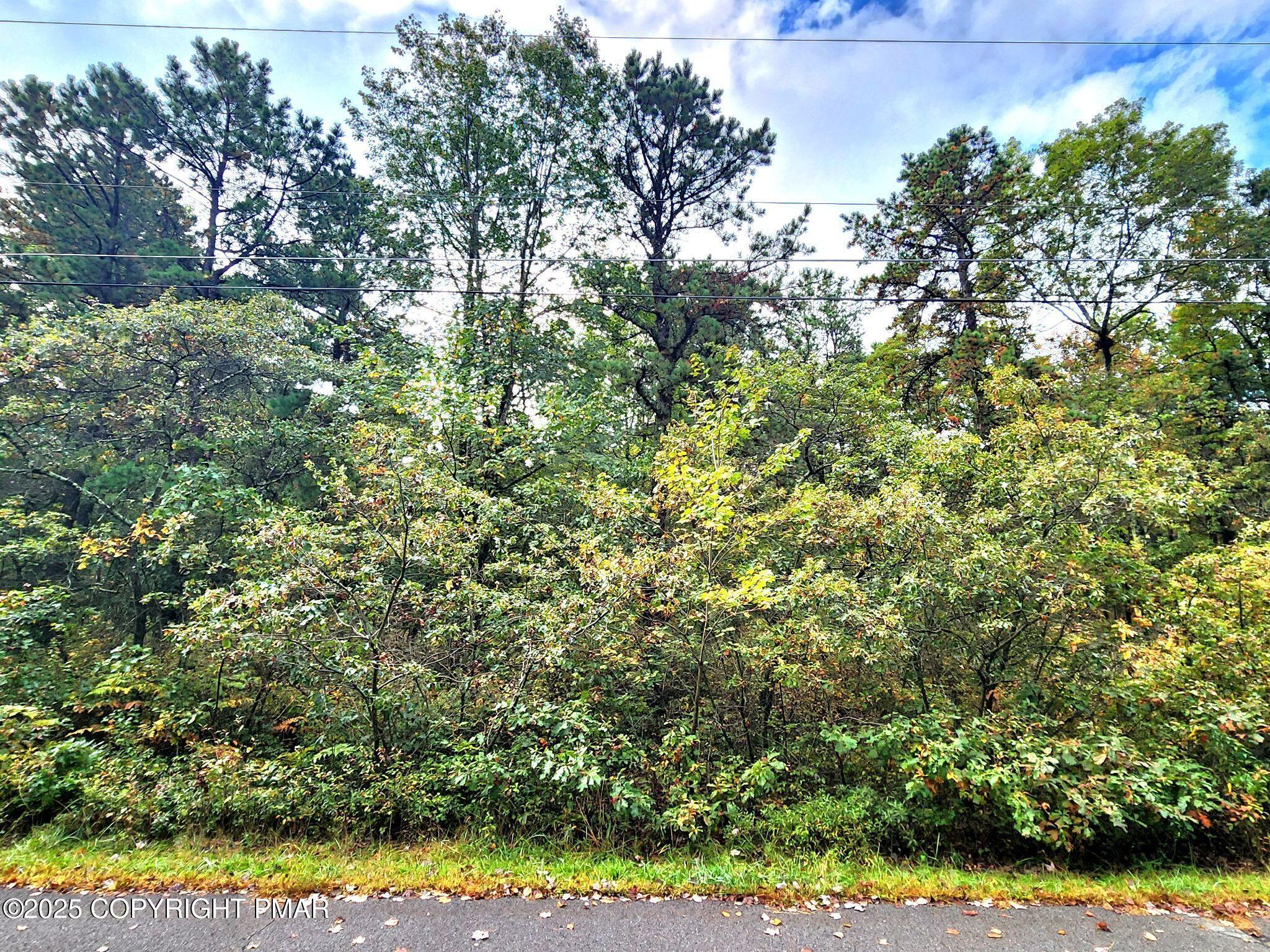 Lot E361 Robertson Road Jim Thorpe, PA 18229 - Photo 1 of 2 Cover Photo